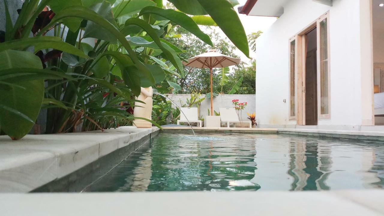 Villa Ummangur 2 Bedroom Private Villa Near Lovina Banjar  Luaran gambar